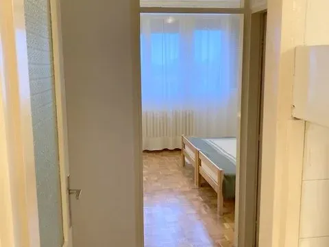 Izdavanje, dvosoban stan, 54m², Zemun Save Kovačevića, Zemun Sve Podlokacije - image 5