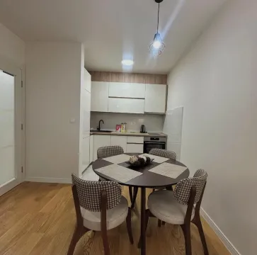 Rent, one bedroom apartment, 49m², Central Point, Podgorica - image 4