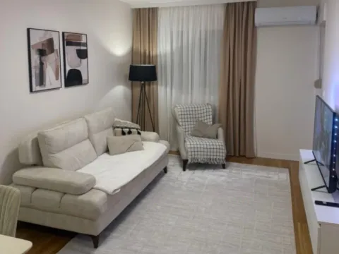 Izdavanje, jednosoban stan, 47m², Central Point, Podgorica - image 2