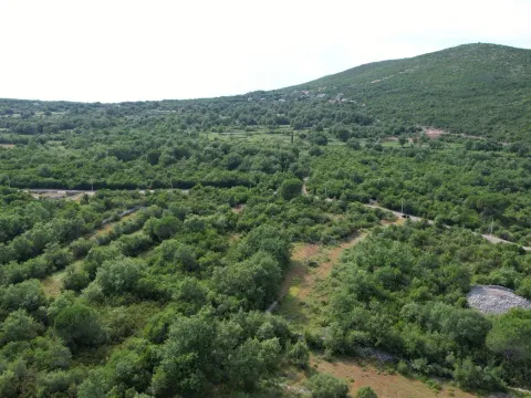 Prodaja, plac, 1817m², Zagora, Kotor - image 12