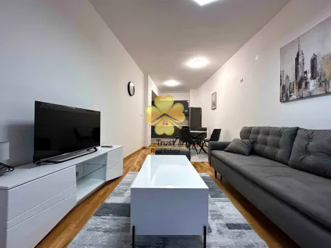 Izdavanje, dvosoban stan, 75m², Zabjelo, Podgorica - image 3