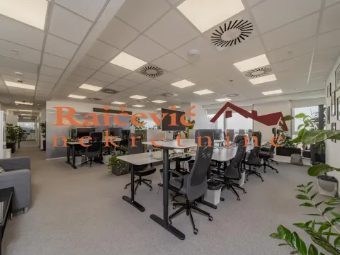 Izdavanje, poslovni prostor, 289m², Tašmajdan, Palilula Sve Podlokacije