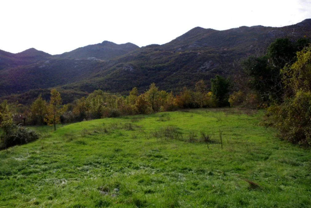 Prodaja, plac, 7000m², Dobrsko Selo, Cetinje