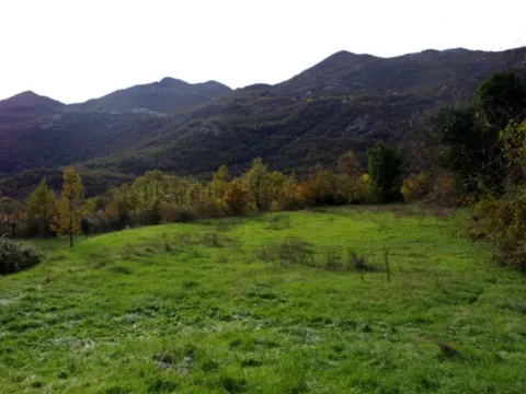 Prodaja, plac, 7000m², Dobrsko Selo, Cetinje - image 2