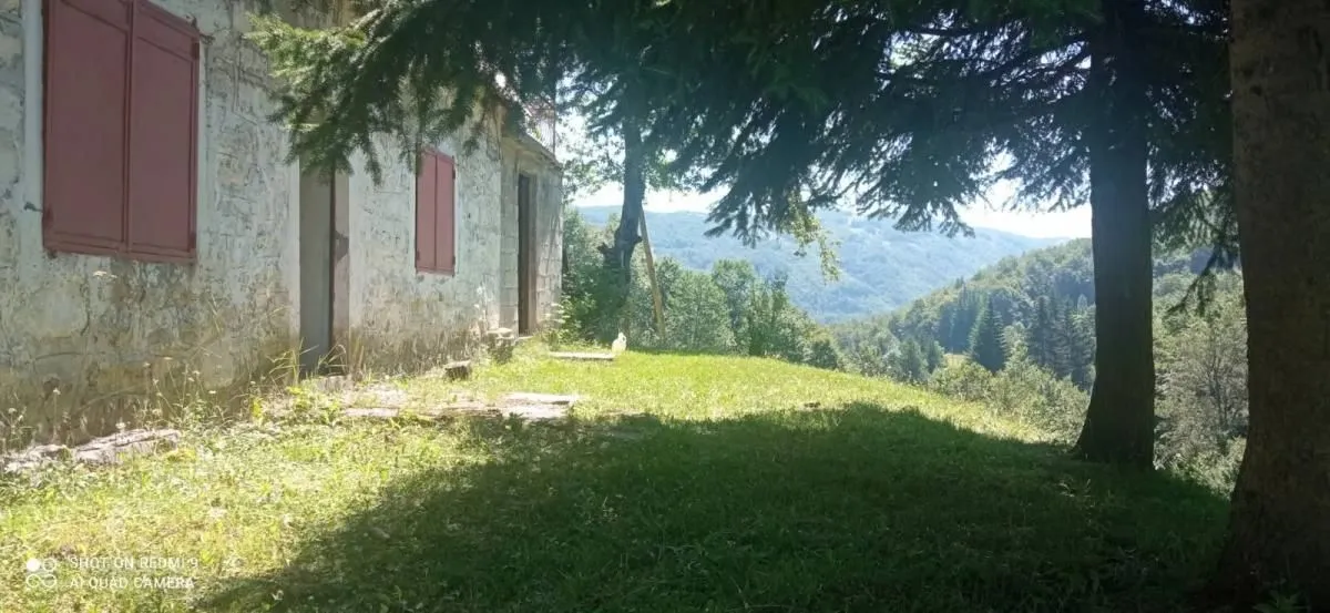 Prodaja, plac, 99100m², Donja Bukovica, Šavnik
