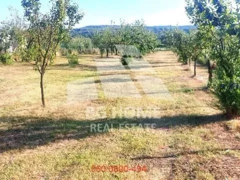 Prodaja, plac, 1587m², Voždovac Sve Podlokacije, Beograd - image 3