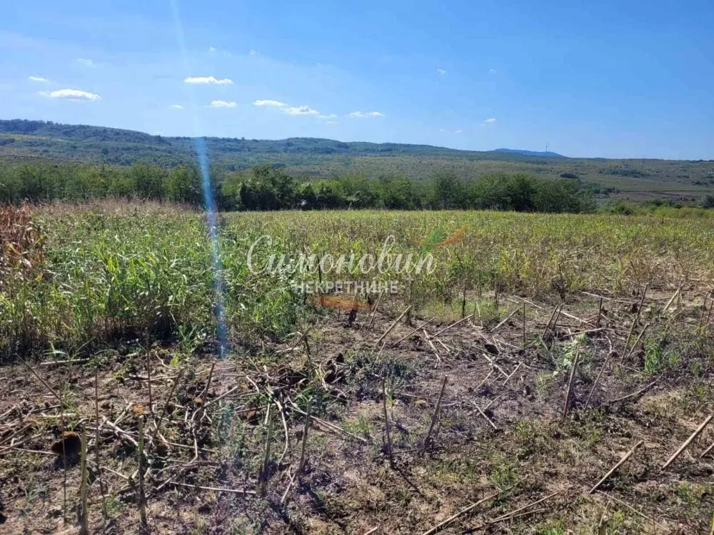 Prodaja, plac, 15000m², Ritopek, Grocka