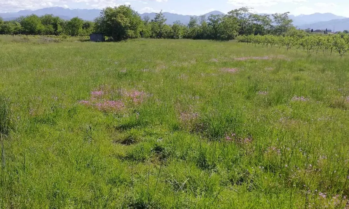 Sale, land lot, 1000m², Farmaci, Podgorica