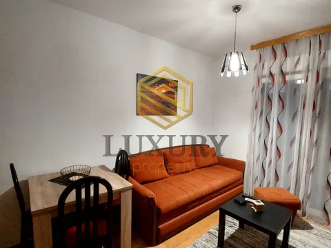 Izdavanje, jednosoban stan, 44m², Vezirov Most, Podgorica - image 4