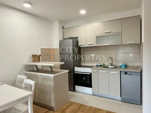 Rent, apartment, 38m², Stari Aerodrom, Podgorica - image 2