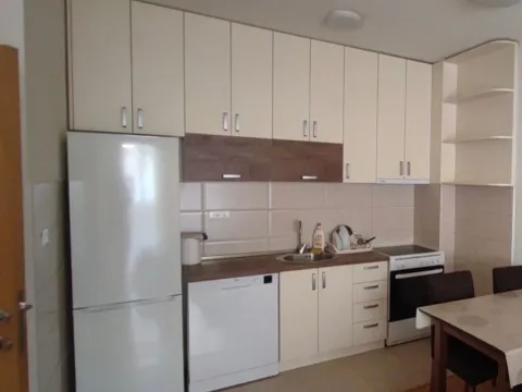 Rent, one bedroom apartment, 46m², Tuški Put, Podgorica - image 2