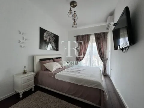 Izdavanje, jednosoban stan, 50m², Vezirov Most, Podgorica - image 2