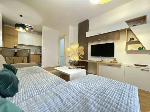 Izdavanje, jednosoban stan, 50m², Central Point, Podgorica - image 5