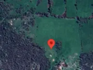 Sale, land lot, 54000m², Bandići, Danilovgrad - image 2