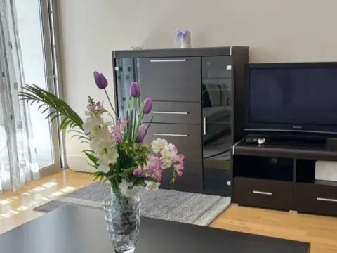 Sale, two bedroom apartment, 85m², Rozino, Budva - image 8