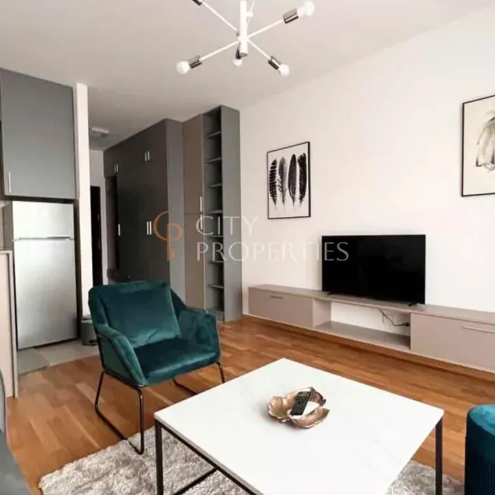 Rent, apartment, 31m², Ljubović, Podgorica