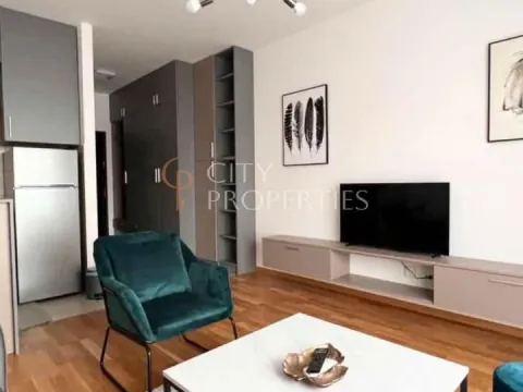 Izdavanje, stan, 31m², Ljubović, Podgorica - image 1