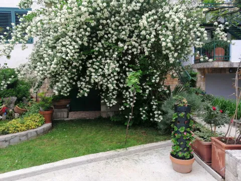 Uređeno dvorište sa bujnim zelenilom i cvijećem ispred kuće. - image 15