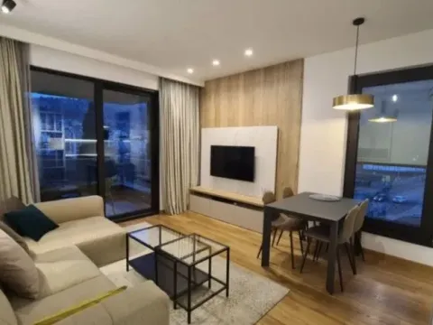 Rent, one bedroom apartment, 45m², Vezirov Most, Podgorica - image 2