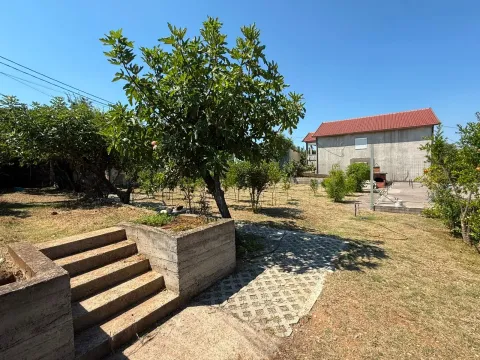 Yard with trees, greenery and a house in the background. - image 4