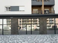 Izdavanje, poslovni prostor, 120m², Stari Aerodrom, Podgorica - image 3