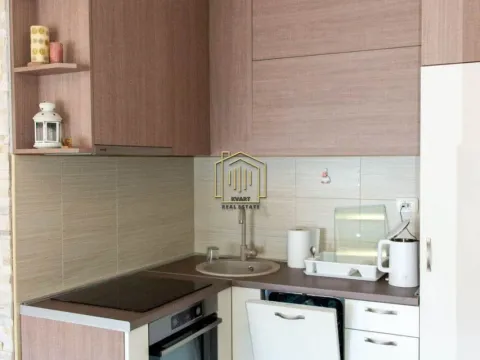 Izdavanje, jednosoban stan, 46m², Zabjelo, Podgorica - image 9