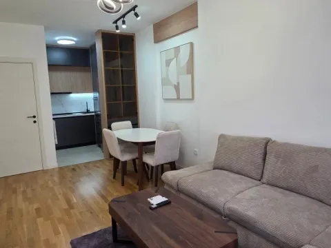 Rent, one bedroom apartment, 41m², Stari Aerodrom, Podgorica - image 3