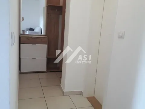 Rent, two bedroom apartment, 45m², Telep, Novi Sad Sve Podlokacije - image 5