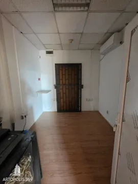 Izdavanje, poslovni prostor, 210m², Botanička Bašta, Palilula Sve Podlokacije - image 11