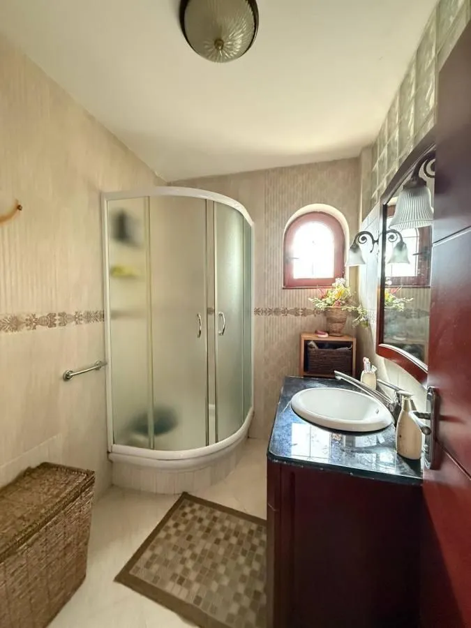 Sale, house, 204m², Bocke, Petrovaradin