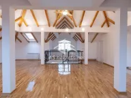 Izdavanje, kuća, 417m², Jajinci, Voždovac Sve Podlokacije - image 32