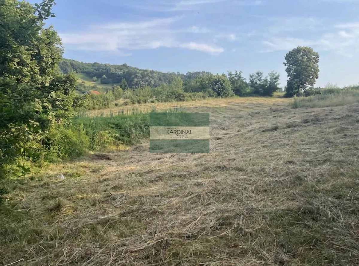 Prodaja, plac, 2528m², Trmbas, Kragujevac
