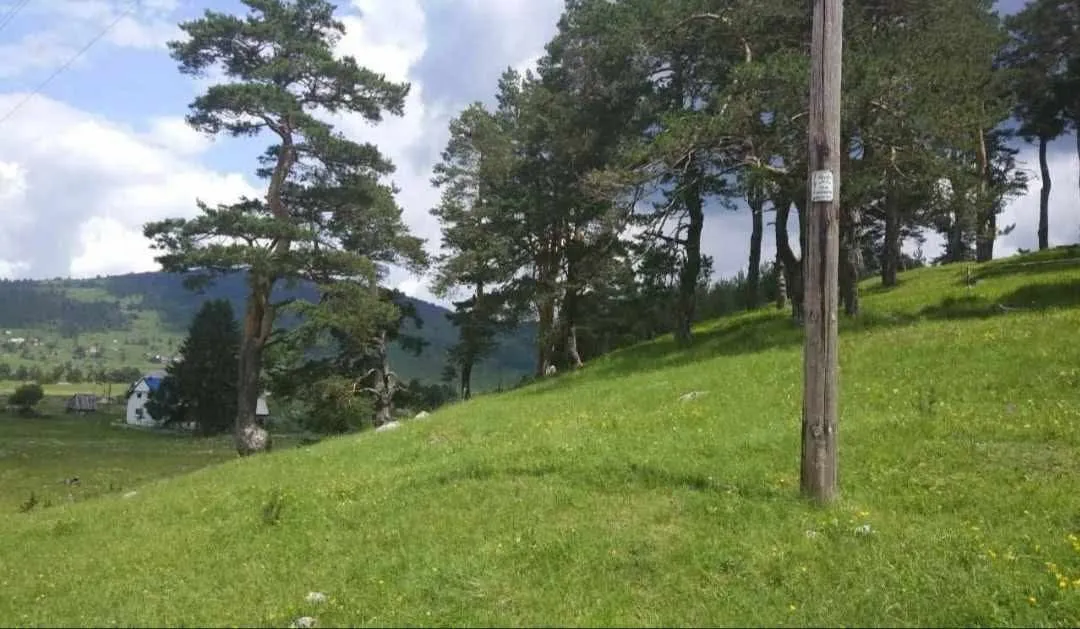 Prodaja, plac, 17000m², Žabljak, Crna Gora