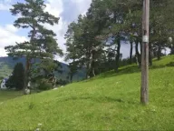 Prodaja, plac, 17000m², Žabljak, Crna Gora - image 4