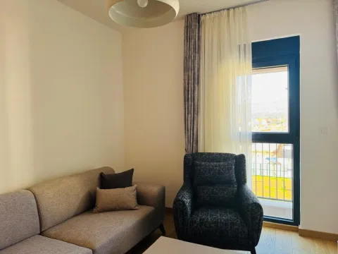 Izdavanje, jednosoban stan, 47m², City Kvart, Podgorica - image 7