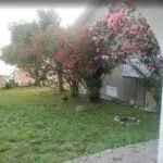 Prodaja, poslovni prostor, 450m², Petrovac, Budva - image 25