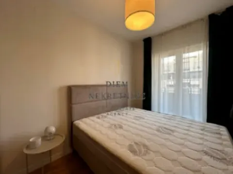 Izdavanje, jednosoban stan, 47m², Central Point, Podgorica - image 7