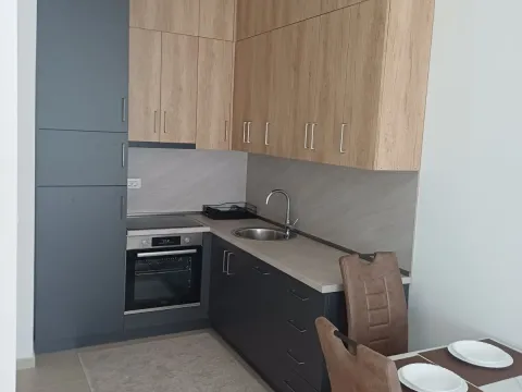 Izdavanje, jednosoban stan, 44m², Stari Aerodrom, Podgorica - image 4