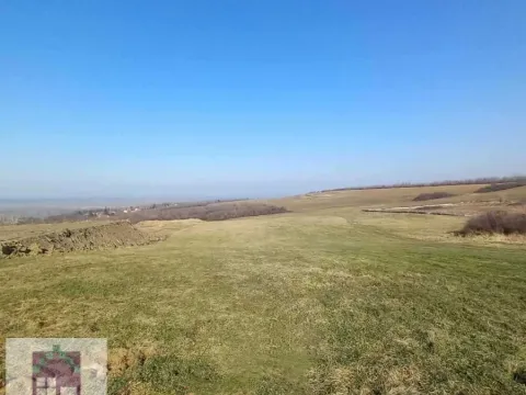 Sale, land lot, 3800m², Mala Moštanica, Obrenovac - image 5