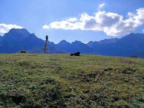 Prodaja, plac, 44000m², Kolašin, Crna Gora - image 8