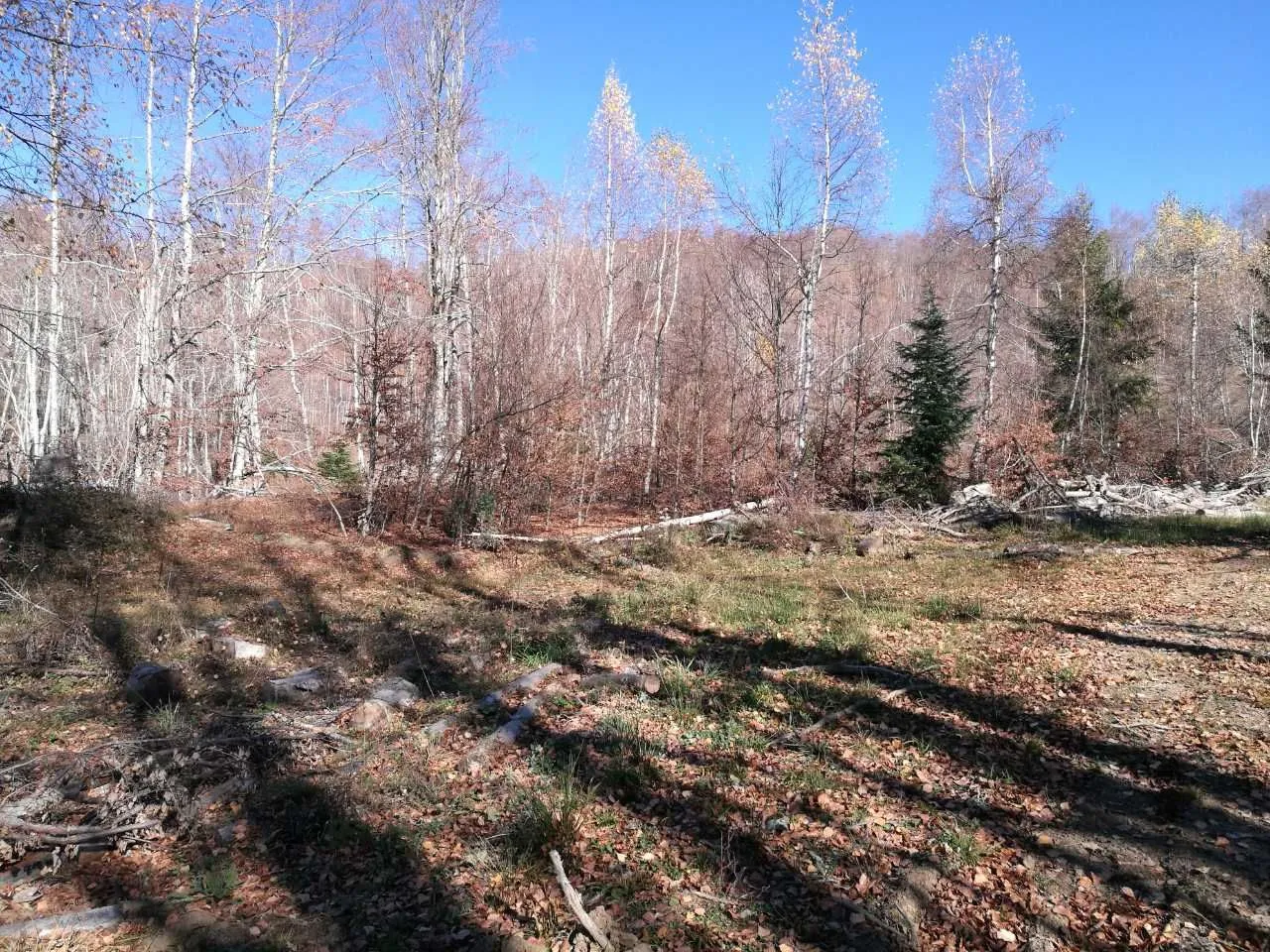 Prodaja, plac, 138000m², Kolašin, Crna Gora