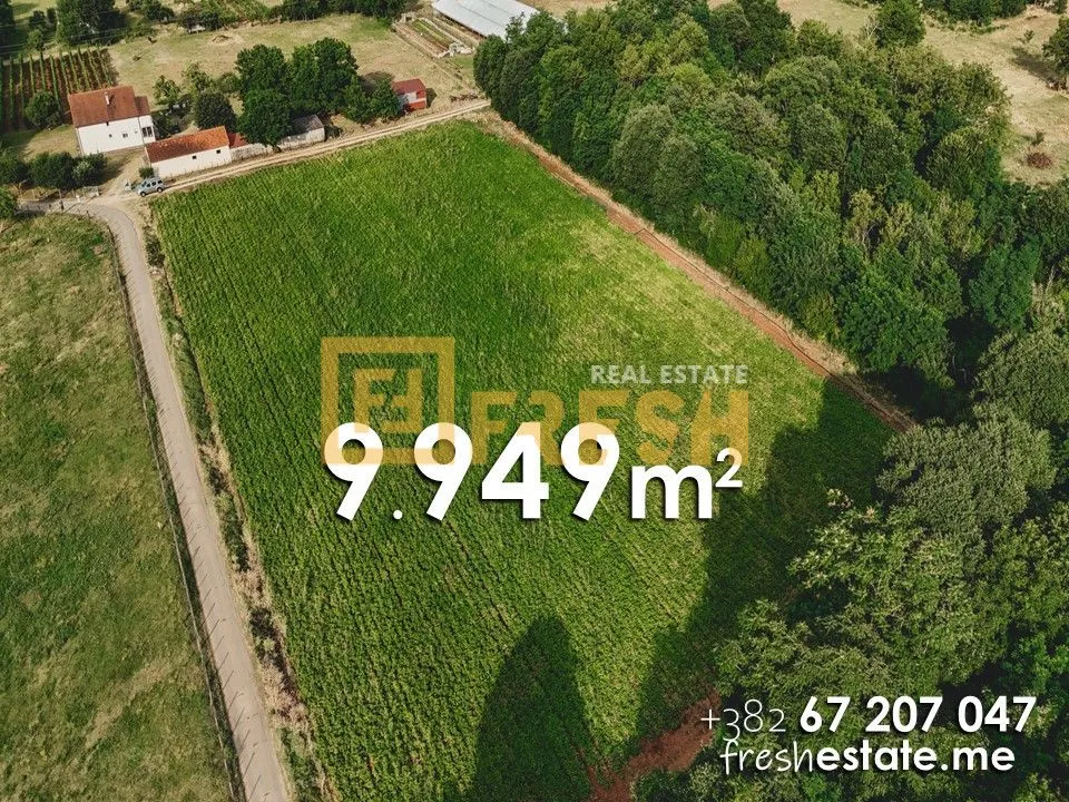 Prodaja, plac, 9949m², Danilovgrad, Crna Gora