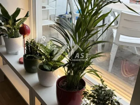 Izdavanje, dvosoban stan, 54m², Centar, Novi Sad - image 5