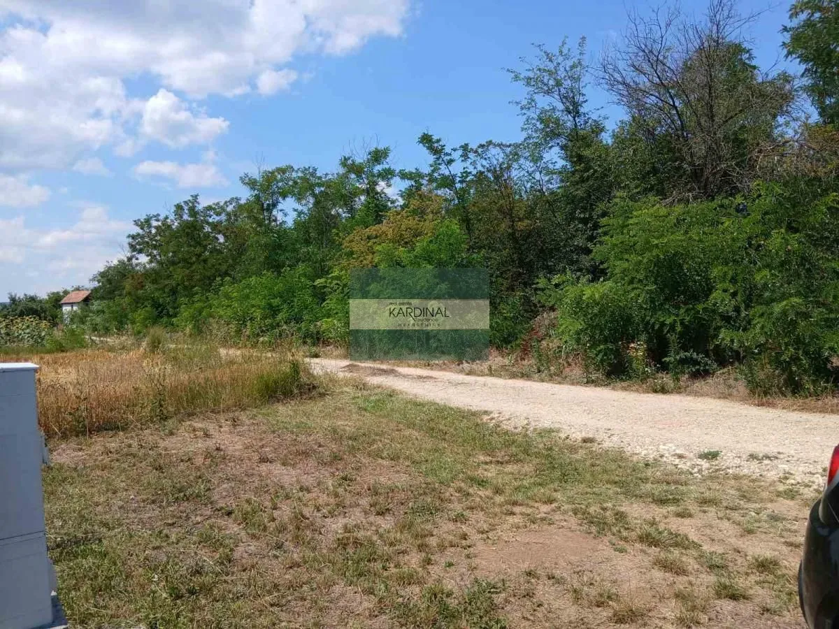 Prodaja, plac, 285100m², Medjureč, Jagodina