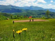 Sale, land lot, 30905m², Lepenac, Mojkovac - image 5