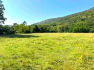 Prodaja, plac, 5181m², Ćurilac, Danilovgrad - image 3