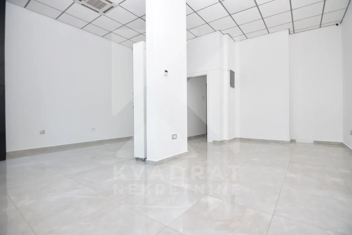 Izdavanje, poslovni prostor, 220m², Autobuska stanica, Podgorica