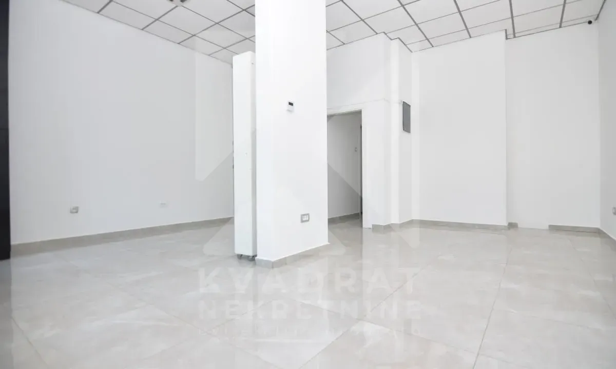 Izdavanje, poslovni prostor, 220m², Autobuska stanica, Podgorica