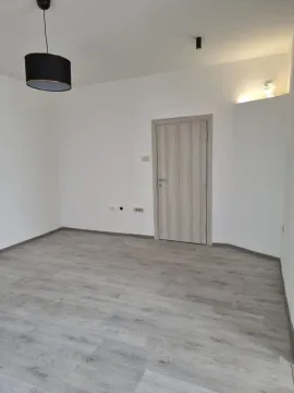 Empty room with white walls, gray laminate flooring, and a closed door. - image 6
