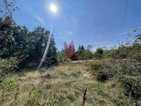 Prodaja, plac, 1000m², Mladenovac, Beograd - image 6